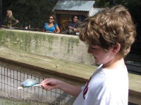 20100206 496.JPG